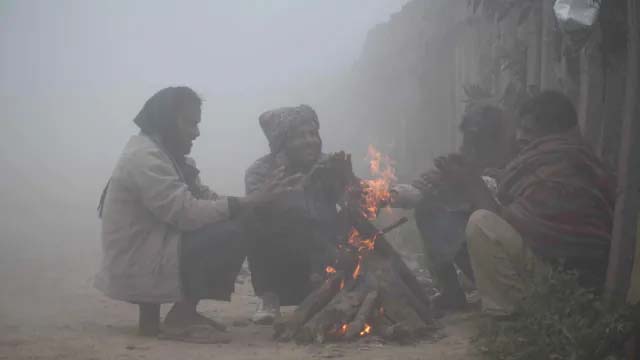 Cold Wave : महाराष्ट्रात थंडीचा जोर वाढणार; कानपूरमध्ये २५ बळी