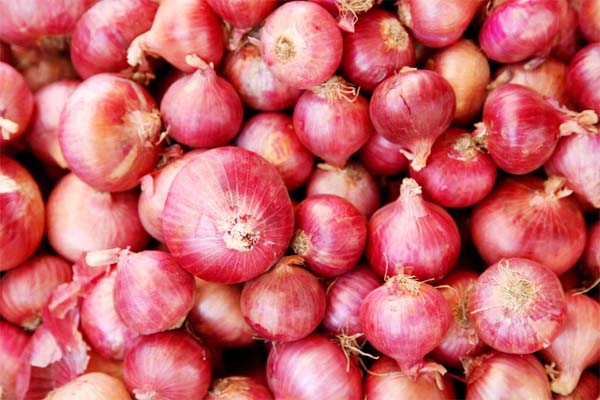 Onion Price : वाणिज्य मंत्रालय ठरवणार कांद्याचे दर; नाफेड, एनसीसीएफचे अधिकार गोठवले