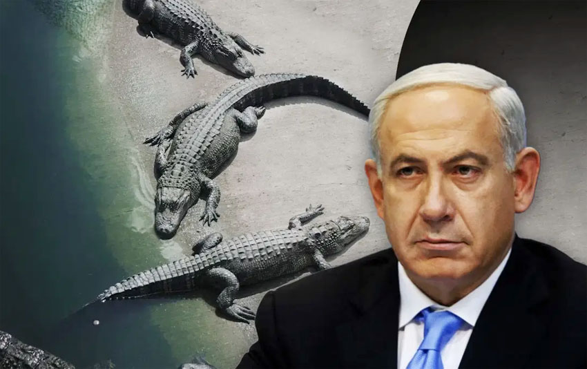 A shocking incident has come to light in which Israeli Prime Minister Benjamin Netanyahu's forces shot and killed 262 crocodiles in the West Bank area.