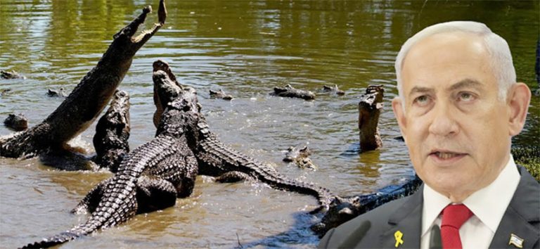 A shocking incident has come to light in which Israeli Prime Minister Benjamin Netanyahu's forces shot and killed 262 crocodiles in the West Bank area.
