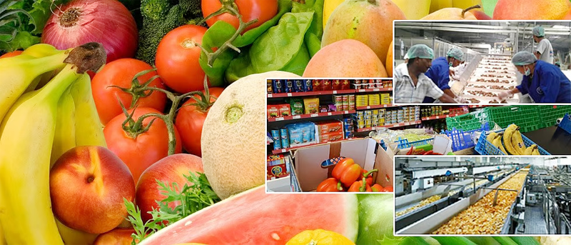 Maharashtra has earned an income of more than Rs 6,000 crore from the export of fruits, vegetables and flowers.